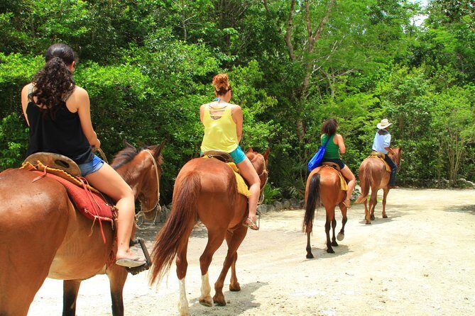 The best ATVs, zipline, cenote tour with lunch and transportation - Pickup and Timing: Where This Tour Can Feel Smooth or Tight
