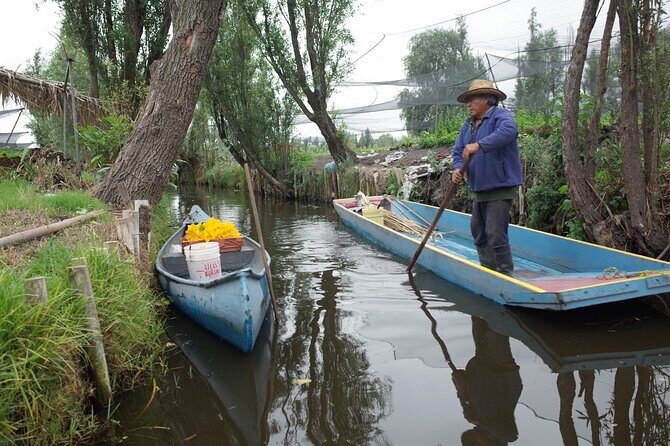 The City Green Exploring the Urban Eco Reserve of Xochimilco - Price and Value: What $150 Buys You