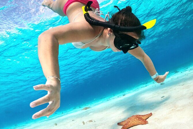 The Cozumel Turtle Sanctuary Snorkel Tour - Cozumel Reefs Are Easy. Finding the Good Bits Is the Hard Part.