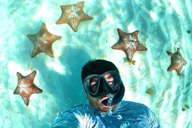 The Cozumel Turtle Sanctuary Snorkel Tour - Stop 1 to Stop 3: Why Multiple Snorkel Sites Beat One Big Swim