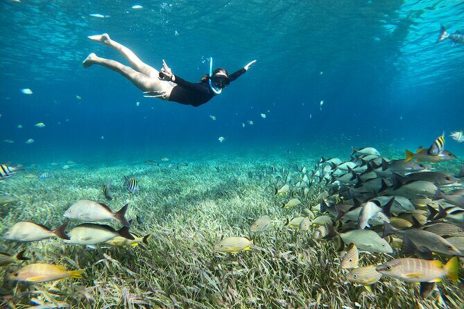 The Cozumel Turtle Sanctuary Snorkel Tour - The Boat Ride, the Crew, and That Musical Energy