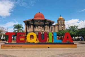 The Fire TOUR - Pyramids, Volcanoes, Agaves & Tequila - Agave Fields and Volcano Views: The Quick Stop That Matters