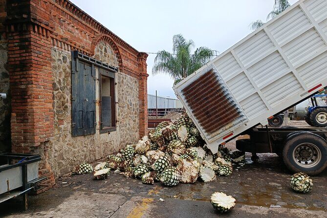 The Fire TOUR - Pyramids, Volcanoes, Agaves & Tequila - Destileria La Alborada: From Cooked Agave to Your Tasting