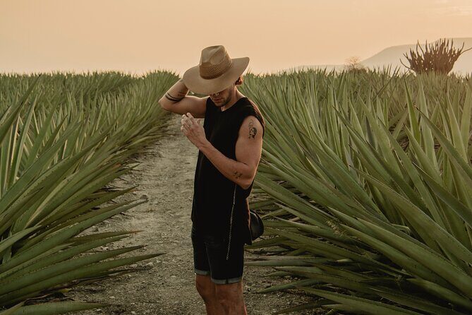 The Mezcal Journey - Key Highlights