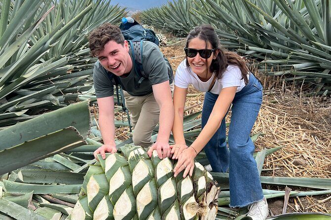 The Mezcal Journey - Price and value: is $105.51 a good deal?