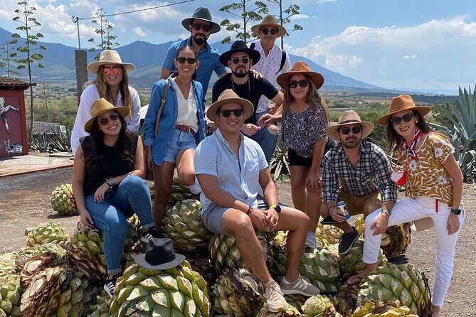 The Mezcal Journey - San Pablo Villa de Mitla agave fields: photos, context, and fresh air