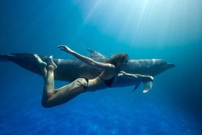 The only Natural Space Dolphin Encounter in Cabo Optional Pickup! - Key things to know before you go