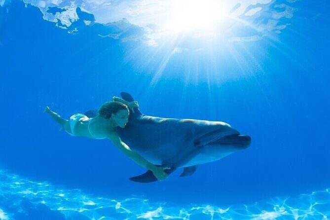 The only Natural Space Dolphin Encounter in Cabo Optional Pickup! - What’s included (and why it matters)