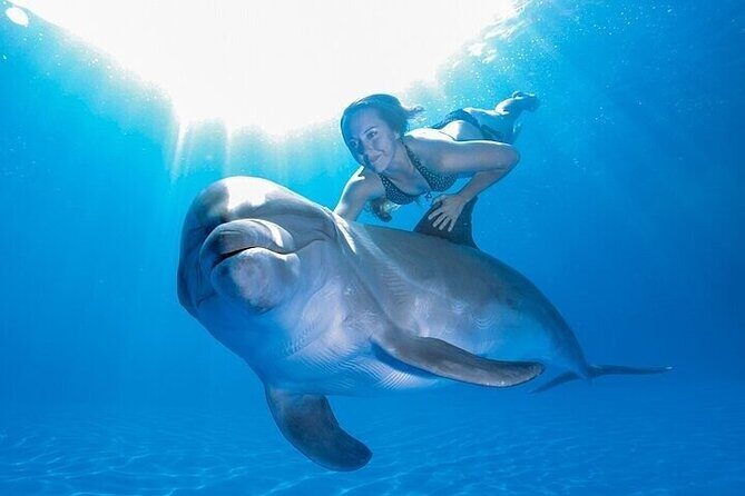 The only Natural Space Dolphin Encounter in Cabo Optional Pickup! - Stop-by-stop: El Arco, beaches, and the Cabo photo circuit