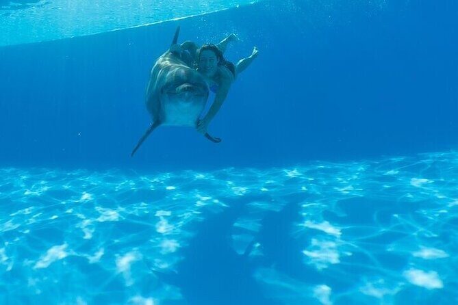 The only Natural Space Dolphin Encounter in Cabo Optional Pickup! - Instructors and certified staff: names you might hear
