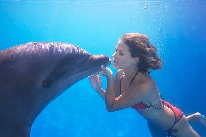 The only Natural Space Dolphin Encounter in Cabo Optional Pickup! - Hotel pickup: optional, but worth it if you hate logistics