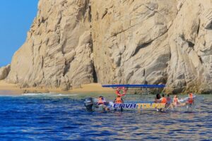 The Original Clear Boat – Cabo’s Signature Landmark Experience - What you can actually see below: fish, reefs, and possible sea lions