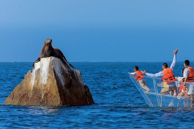 The Original Clear Boat – Cabo’s Signature Landmark Experience - Photos on board: nice memory, but plan your decision