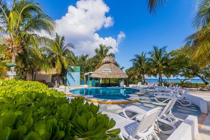 Tikinxic Barefoot Fish Guided Cookout Experience in Cozumel - Taxi math from the cruise port: what to budget