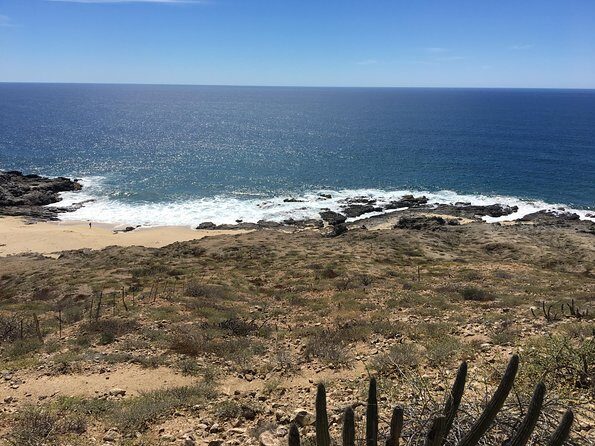 Todos Santos Day Trip from Cabo San Lucas - Tequila tasting: a short included taste, not a drinking tour