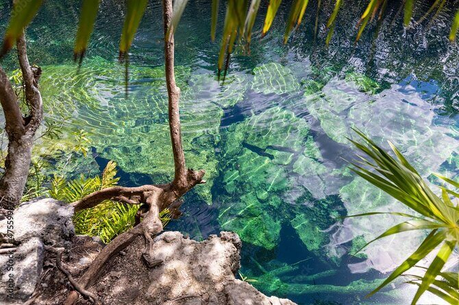 Tour 4 Cenotes Casa Tortuga Tulum. Food + Zipline. Includes Pickup. - Food and zipline: check your package before you go