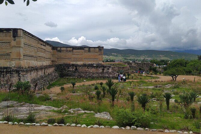 Tour Boil the "classic" water - Mezcal making at El Rey de Matatlán: what you’re actually learning