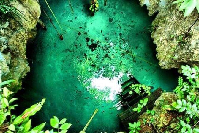 Tour Cenote Santa Cruz - Snorkeling in Crystal-Clear Water (and Planning for Mosquitos)