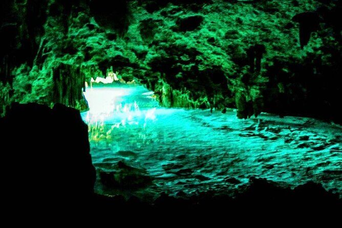 Tour Cenote Santa Cruz - Should You Book Cenote Santa Cruz?