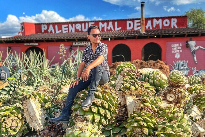 Tour Monte Albán, Hierve el agua, Teotitlán Del Valle and Mezcal - What you’re really paying for: value in private transport and included fees