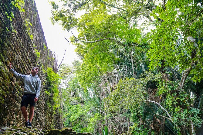 Tour to Dzibanche and Kohunlich with Transportation and 3 Course Meal Included - Stop 1: Dzibanché and its owl-and-cormorant temples