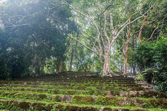 Tour to Dzibanche and Kohunlich with Transportation and 3 Course Meal Included - Transportation comfort: the part you’ll feel later