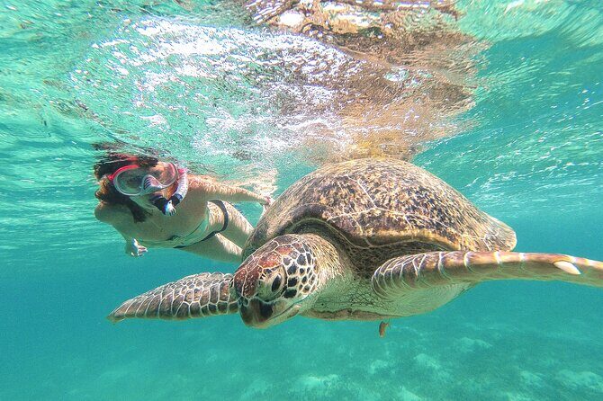 Tour to Tulum and Cenote Swimming with Turtles from Tulum - Key highlights if you like nature plus history