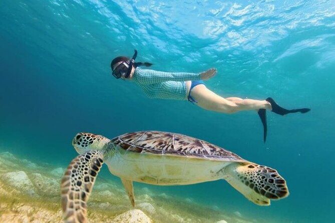 Tour to Tulum and cenote with swimming with turtles from Riviera Maya - What’s included: guide, gear, lockers, and lunch (no drinks)