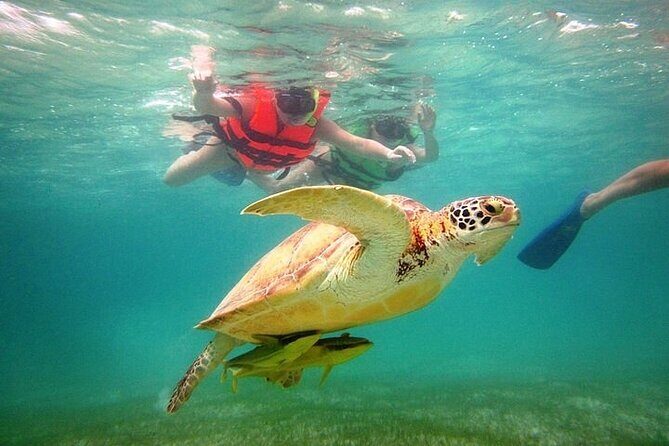 Tour to Tulum and cenote with swimming with turtles from Riviera Maya - What to bring so the day feels easy, not annoying