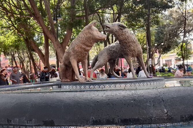 Tour to Xochimilco and Coyoacan and Frida Khalo - Xochimilco by trajinera: canals, chinampas, and the “real” reason to go