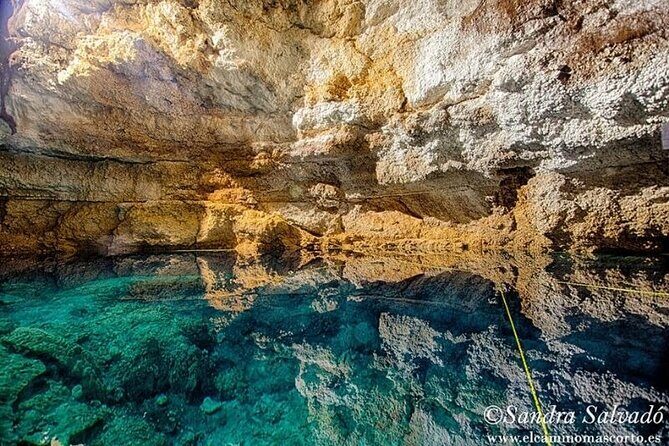 Tour Tulum Coba Cenote and Playa del Carmen (4 in 1) - Stop 4: Fifth Avenue in Playa del Carmen—your one-hour free stretch