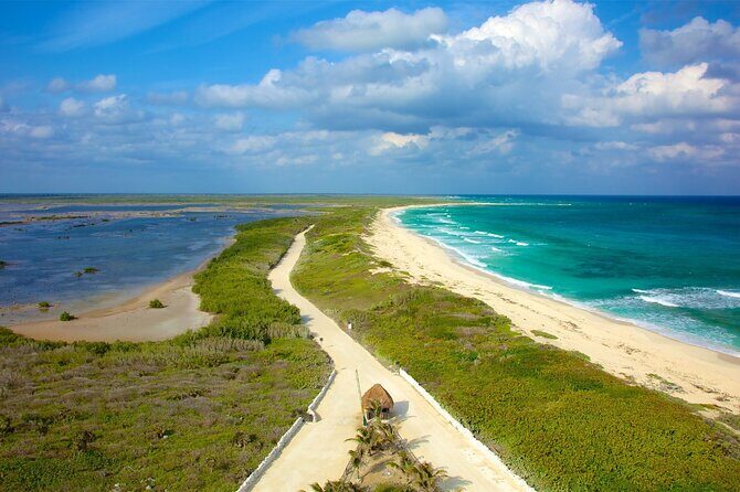 Tours along the beaches of Cozumel Mexico by buggy all inclusive - Key Highlights You’ll Actually Care About