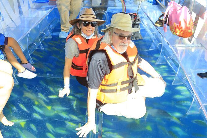 Tours in Cabo, Paseo al Arco and Fin de la Tierra in the only Clear Boat - Practical tips to get the best viewing