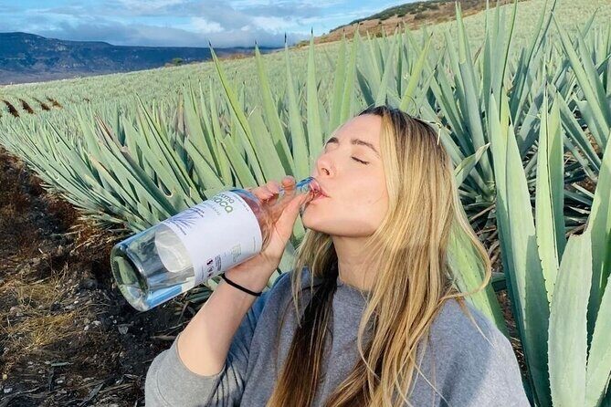 Tradicional Mezcal Experience in Oaxaca-Visit a Family Distillery - Key highlights you can actually use