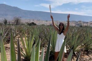 Tradicional Mezcal Experience in Oaxaca-Visit a Family Distillery - Stop 2 at the family distillery: from roasted agave to your glass