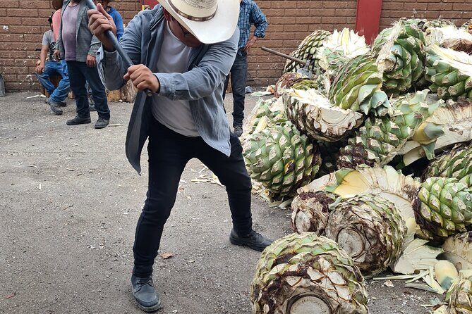 Tradicional Mezcal Experience in Oaxaca-Visit a Family Distillery - Who should book this tour (and who should choose something else)