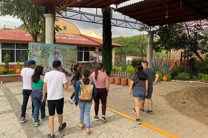 Tule, Mitla & Hierve el Agua Full-Day Tour with Certified Guide - Stop 3: Hierve el Agua Petrified Waterfalls, Walk Time, and the Closure Reality