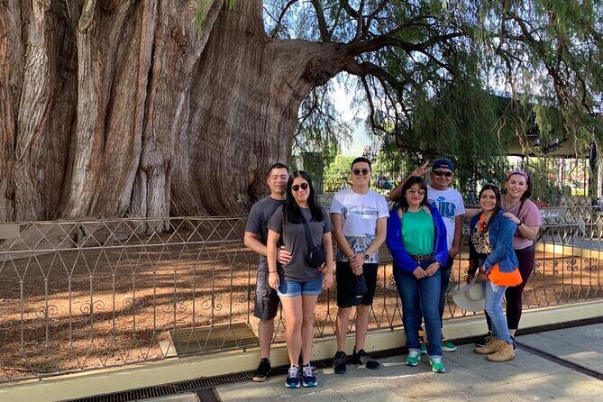 Tule, Mitla & Hierve el Agua Full-Day Tour with Certified Guide - Mezcal El Rey de Matatlán: The Distillery Visit and Tasting Included