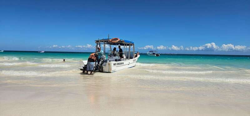 Tulum: 2-Hour Snorkeling in Two Spots of Tulum's Reef - Tulum reef snorkeling in 2 hours: the practical reason it works
