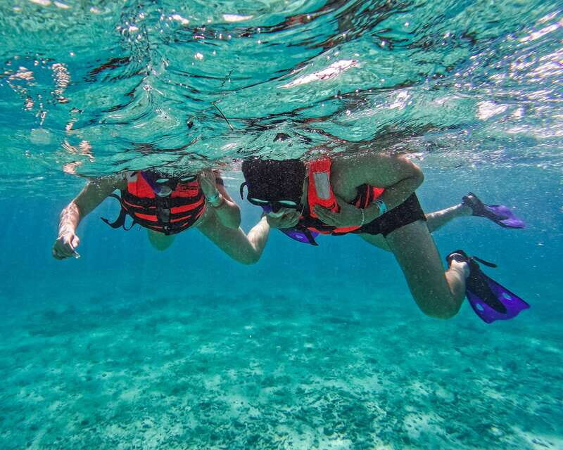 Tulum: 2-Hour Snorkeling in Two Spots of Tulum's Reef - Price and the Parque del Jaguar access fee: what $50 actually becomes