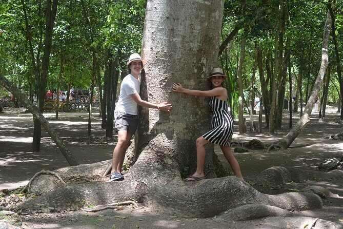 TULUM 4x1 : Archaeological Site, Cenote, 5th Avenue and lunch - Lunch and the real value of this price tag