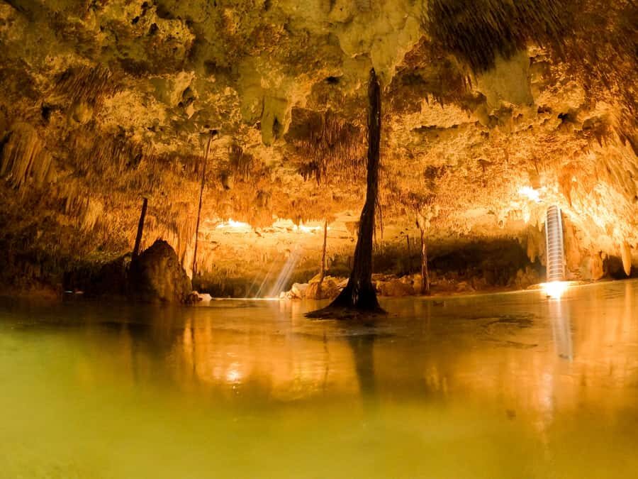 Tulum: Ancestral Waters Cave Cenotes Jungle Walk & Meal - Jungle trails to Uh: the first cave-cenote moment