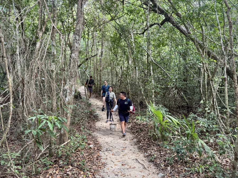 Tulum: Ancestral Waters Cave Cenotes Jungle Walk & Meal - Kin and the sunlight trick: roots, stone, and a tunnel pass