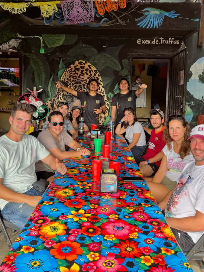 Tulum: Ancestral Waters Cave Cenotes Jungle Walk & Meal - Price and value: why $34 feels fair here