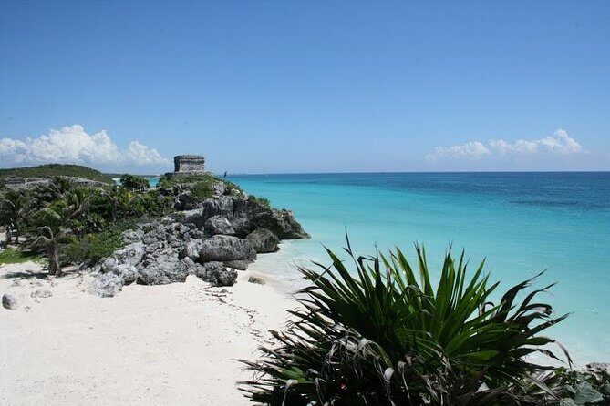 Tulum and Cenote Casa Tortuga Day Trip - The Casa Tortuga cenote: swimming and snorkeling, with cave-dark vibes