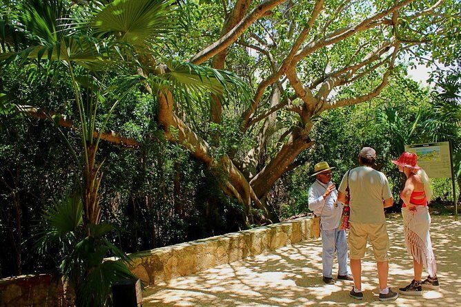 Tulum and Cenote Casa Tortuga Day Trip - Price and value: what $129 really buys you