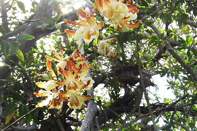 Tulum Archaeological Site & Sian Ka'an Muyil Tour from Tulum - Guides can make or break this kind of day