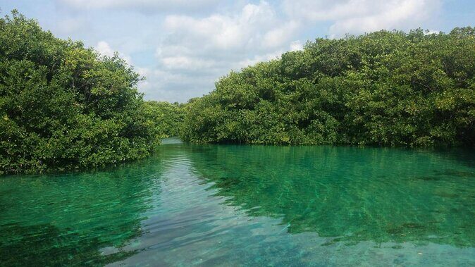 Tulum Area Experiences Guided 2 Tank Scuba Dive Casa Cenote & Barrier Reef-Lunch - Key things to know before you go