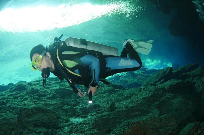 Tulum Area Experiences Guided 2 Tank Scuba Dive Casa Cenote & Barrier Reef-Lunch - Meeting point, pickup windows, and why your morning timing matters