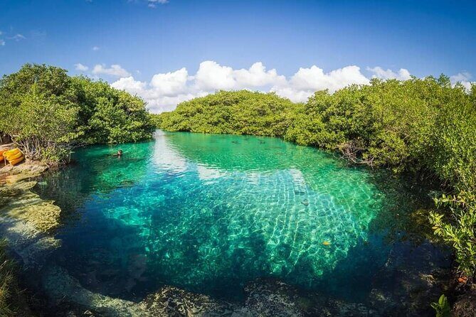 Tulum Area Experiences Guided 2 Tank Scuba Dive Casa Cenote & Barrier Reef-Lunch - Lunch in Tulum: cochinita, fruit, and refueling before the open ocean